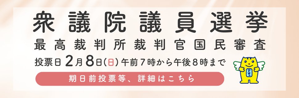 衆議院議員選挙の開催イメージ