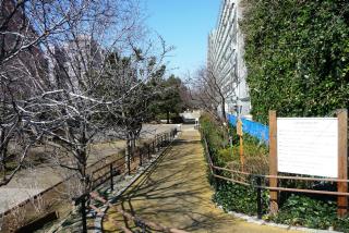出村の桜屋敷