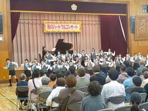 演奏する様子