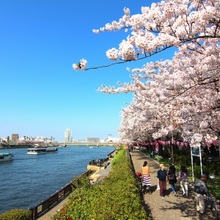 観光