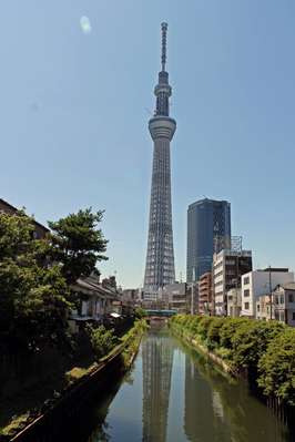 平成23年7月11日撮影