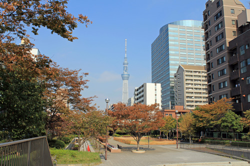 江東橋