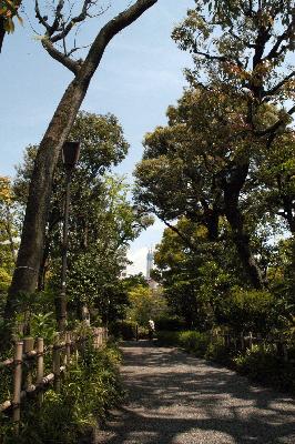 平成22年4月30日撮影