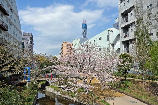 大横川親水公園より