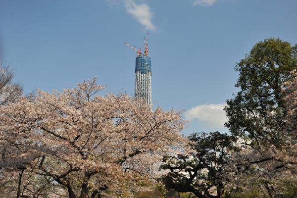 隅田公園より