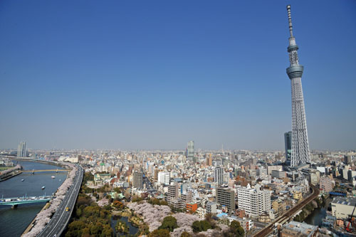 庁舎屋上より