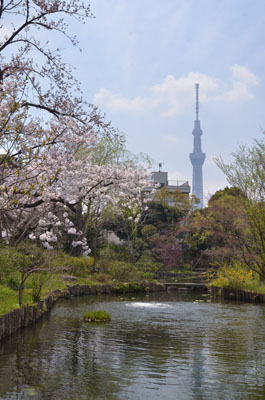 向島百花園より