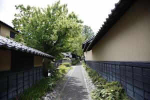 過去の都市農村交流の様子