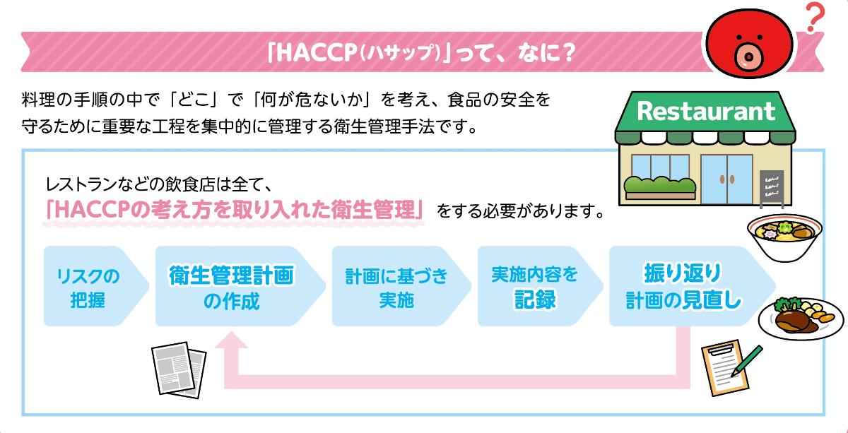 ハサップ解説チャート