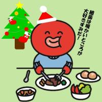 すみだこクリスマス画像