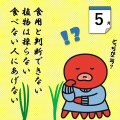 すみだこ5月イラスト「食用と判断できない植物は採らない食べない人にあげない」