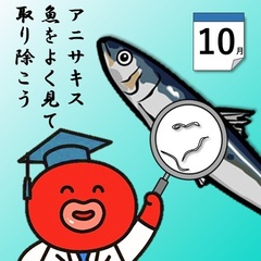 R8.10[アニサキス魚をよく見て取り除こう]