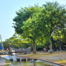 地域の福祉・その他のイメージ