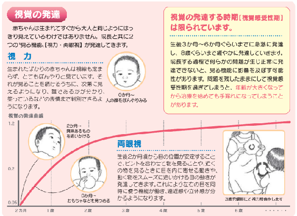 お子さまの目の状態をチェックしましょう 墨田区公式ウェブサイト