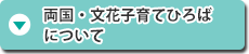 両国・文花子育てひろばについて