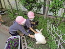 自然との関わり・生命尊重