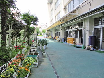 第三寺島幼稚園