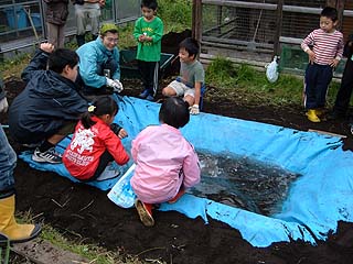  シートの周辺を土で覆います