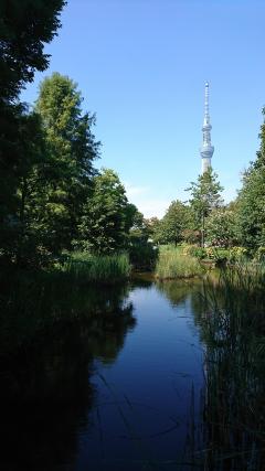 大横川親水公園万華池写真