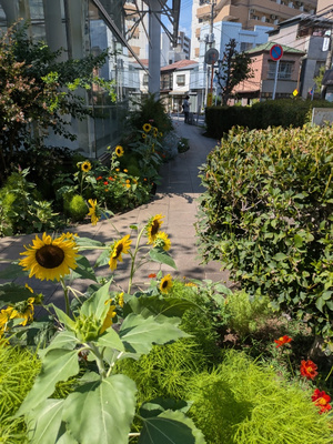 ユートリアの花の小径