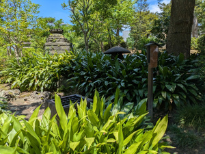 安田庭園