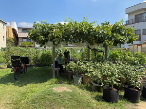 たもんじ交流農園