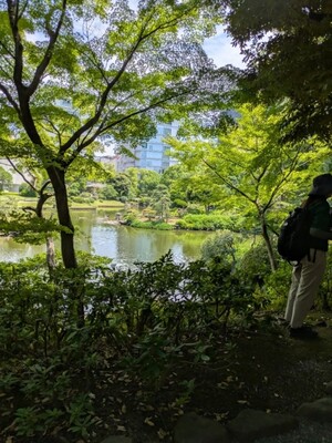 旧安田庭園の画像