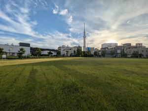 情報経営イノベーション専門職大学の前の広場