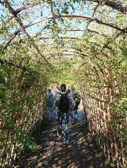 向島百花園の画像