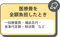 医療費を全額負担したとき