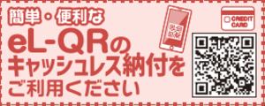 el_QRs