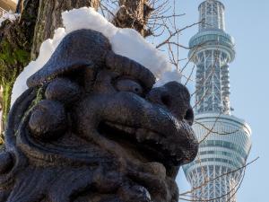 「雪の朝」　撮影者　奥田一眞さん