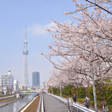 道路のイメージ