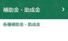 補助金・助成金（各種補助金・助成金）