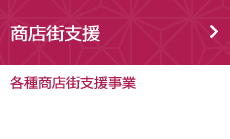 商店街支援（各種商店街支援事業）