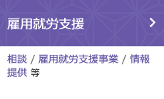 雇用就労支援（相談 / 雇用就労支援事業 / 情報提供 等）