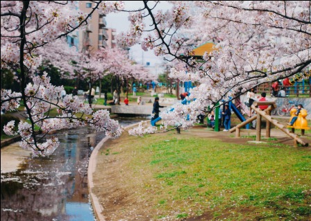 親水公園で遊ぶ(1)