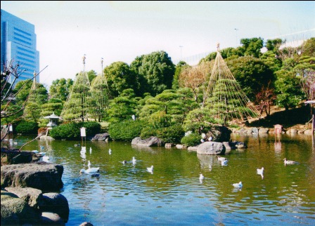 隅田公園の2月