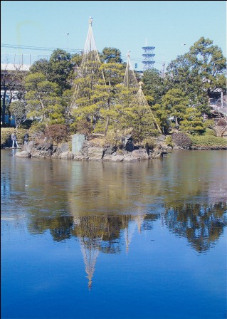 うす氷の心字池に写る雪吊り