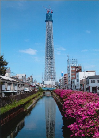 青空に伸び行く東京スカイツリー