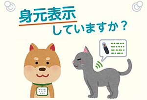 身元表示していますか？