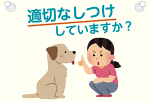 適切なしつけしていますか？